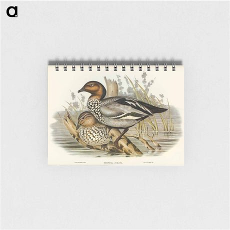 アートメモ帳-Maned Goose
 - オーストラリアの鳥 Memo.