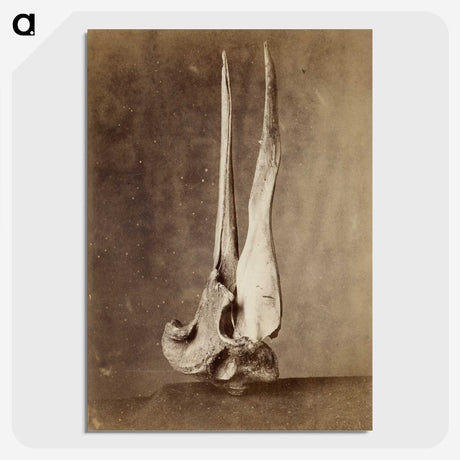 1-69_The-Burton-Brothers_picture-crop