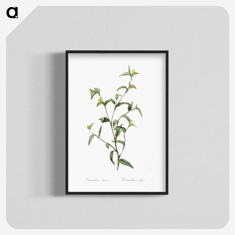 1-69_The-Lilies_blk-crop