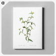 1-69_The-Lilies_canvas