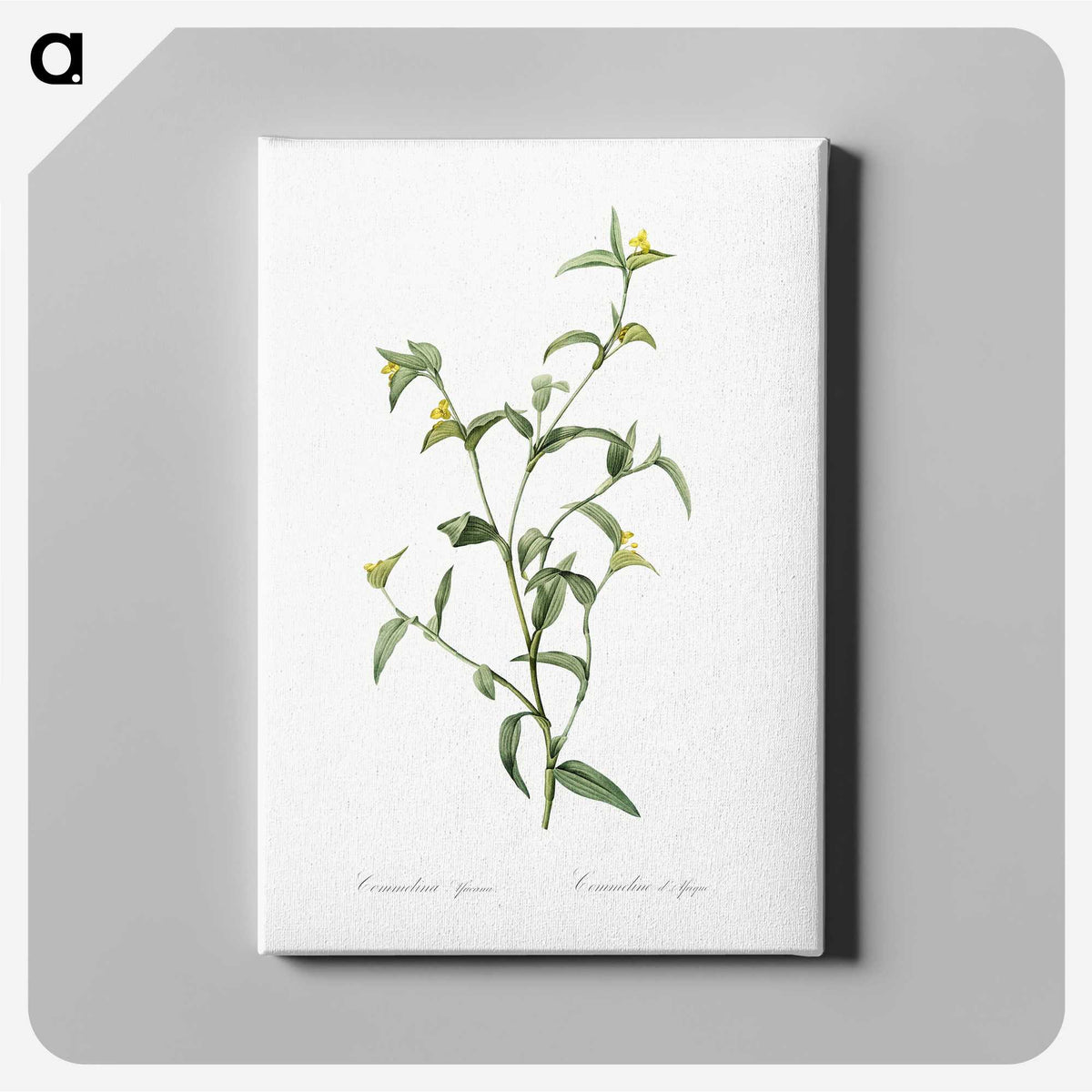 1-69_The-Lilies_canvas