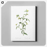 1-69_The-Lilies_canvas