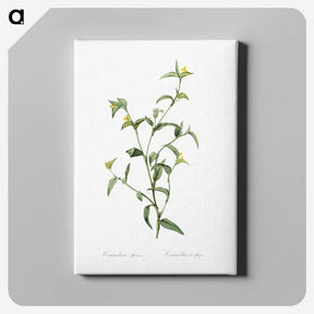 1-69_The-Lilies_canvas