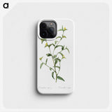 1-69_The-Lilies_phone