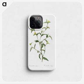 1-69_The-Lilies_phone