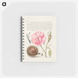 アートメモ帳-Damselfly, French Rose, Spanish Chestnut, and Spider from Mira Calligraphiae Monumenta
 - 書道のお手本 Memo.