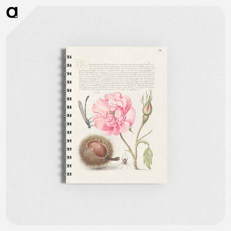 アートメモ帳-Damselfly, French Rose, Spanish Chestnut, and Spider from Mira Calligraphiae Monumenta
 - 書道のお手本 Memo.