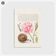 アートポストカード-Damselfly, French Rose, Spanish Chestnut, and Spider from Mira Calligraphiae Monumenta
 - 書道のお手本 Postcard.