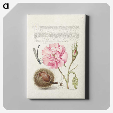 1-69_The-Model-Book-of-Calligraphy_canvas