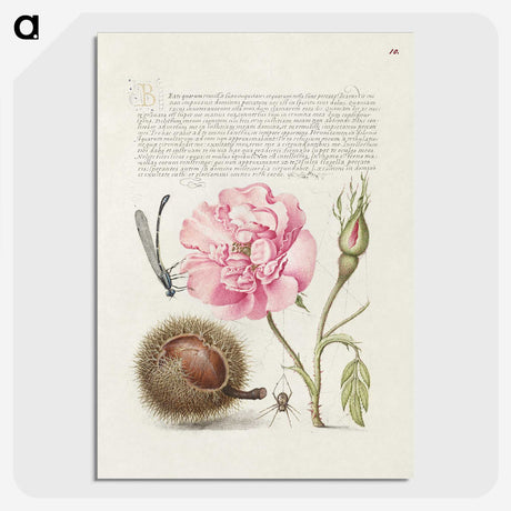 1-69_The-Model-Book-of-Calligraphy_picture-crop