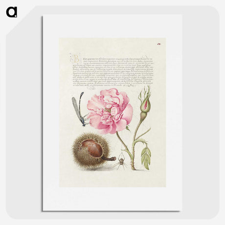 1-69_The-Model-Book-of-Calligraphy_picture