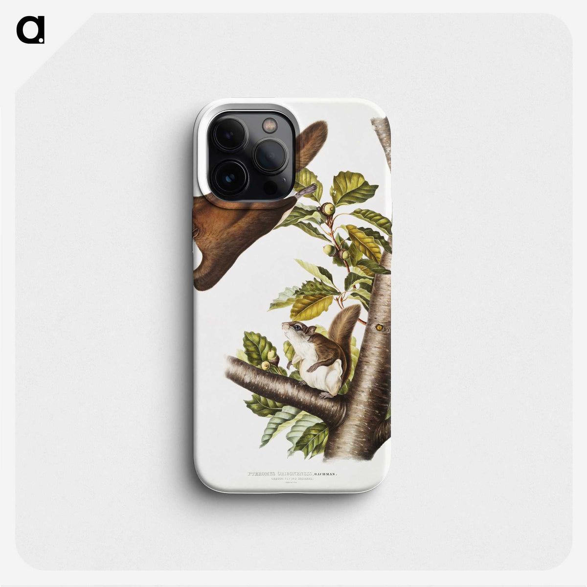 1-69_The-Viviparous-Quadrupeds_phone