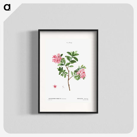1-69_Treatise-on-Trees-and-Shrubs_blk