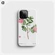 1-69_Treatise-on-Trees-and-Shrubs_phone