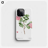 1-69_Treatise-on-Trees-and-Shrubs_phone