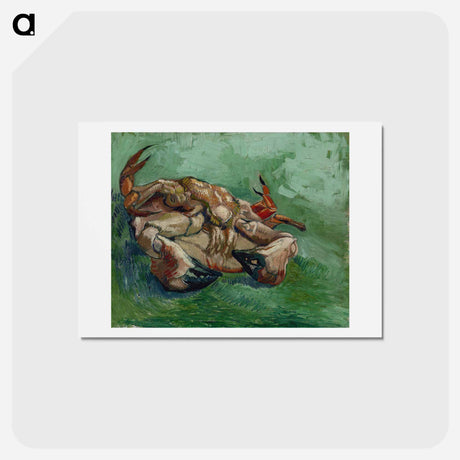 アートポストカード-Crab on its Back - フィンセント ファン ゴッホ Postcard.