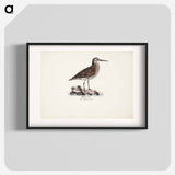 Dunlin in autumn - Wilhelm von Wright Poster.