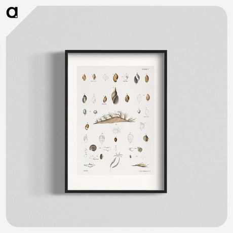 1-69_Zoology-of-New-York_blk