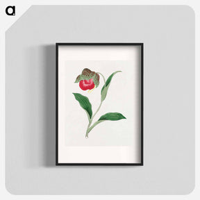 アートポスター-Atsumori - 19世紀の日本の花 Poster.