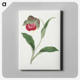 1-6_19th-Century-Japanese-Flowers_canvas