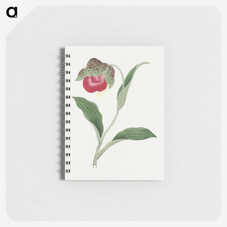 1-6_19th-Century-Japanese-Flowers_memo