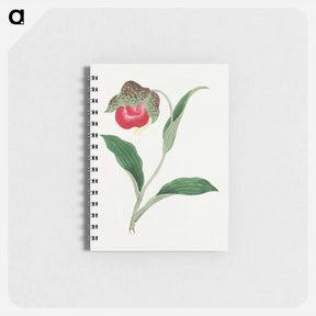 アートメモ帳-Atsumori - 19世紀の日本の花 Memo.