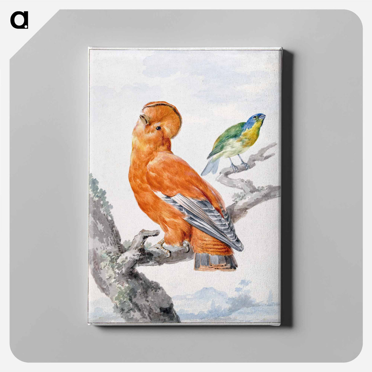 Two Exotic Birds - アールト シューマン Canvas.