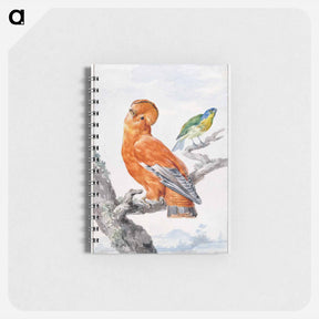 アートメモ帳-Two Exotic Birds - アールト シューマン Memo.