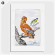 1-6_Aert-Schouman_picture