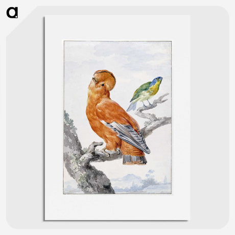 1-6_Aert-Schouman_picture