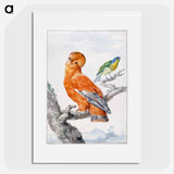 Two Exotic Birds - アールト シューマン Poster.