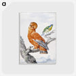 1-6_Aert-Schouman_postcard