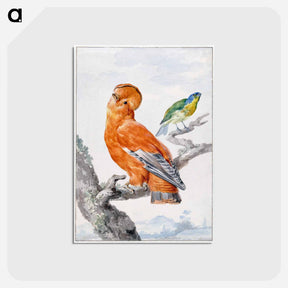 アートポストカード-Two Exotic Birds - アールト シューマン Postcard.