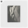 1-6_Alfred-Stieglitz_memo