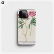 1-6_Anselmus-Boetius-de-Boodt_phone