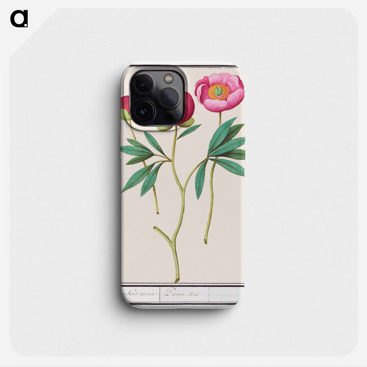 Peony - アンセルムス ボエティウス デ ブート Phone Case.