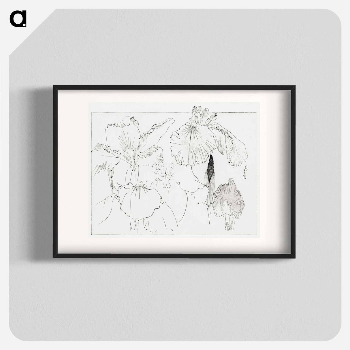 アートポスター-Japanese Iris Illustration
 - 美術世界 Poster.