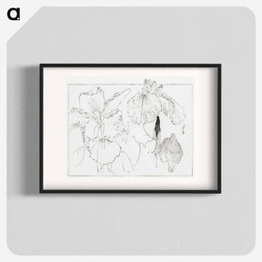 アートポスター-Japanese Iris Illustration
 - 美術世界 Poster.