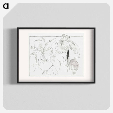 アートポスター-Japanese Iris Illustration
 - 美術世界 Poster.