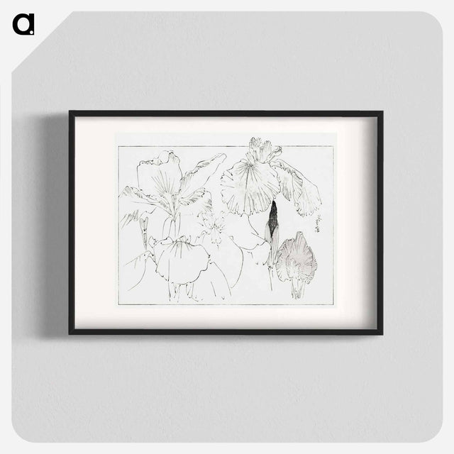 アートポスター-Japanese Iris Illustration
 - 美術世界 Poster.