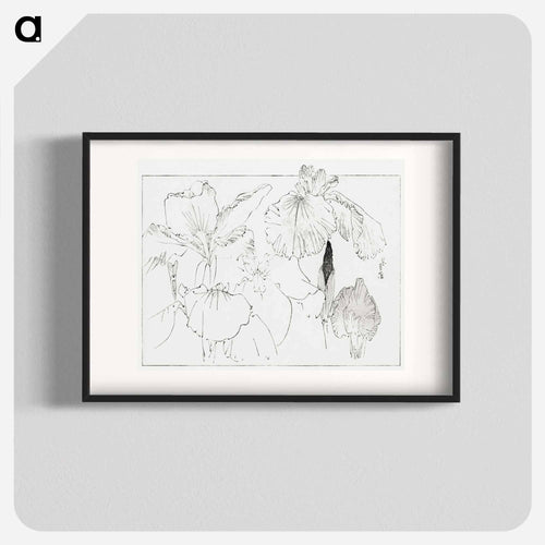 Japanese Iris Illustration
 - 美術世界 Poster.