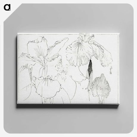1-6_Bijutsu-Sekai_canvas
