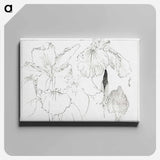 アートパネル-Japanese Iris Illustration
 - 美術世界 Canvas.