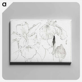 アートパネル-Japanese Iris Illustration
 - 美術世界 Canvas.