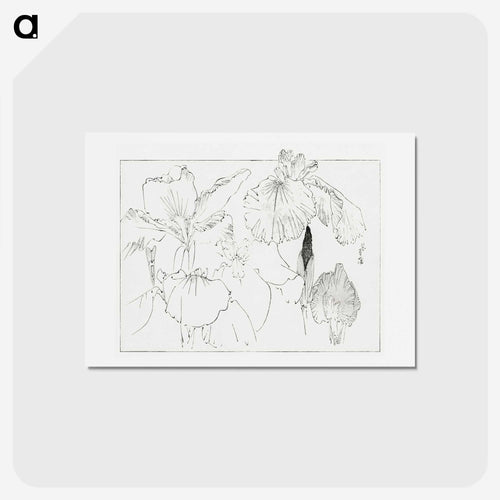 燕子花図 - 美術世界 Postcard.
