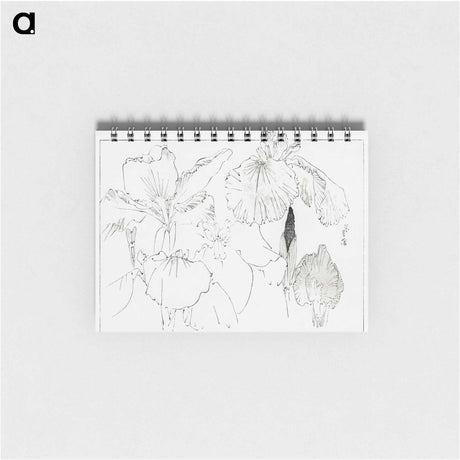 アートメモ帳-Japanese Iris Illustration
 - 美術世界 Memo.