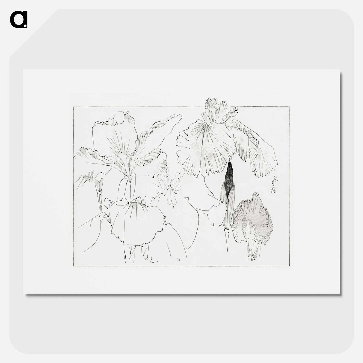 アートポスター-Japanese Iris Illustration
 - 美術世界 Poster.