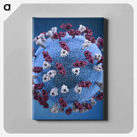 1-6_COVID-19_canvas