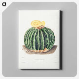 1-6_Charles-Antoine-Lemaire_canvas