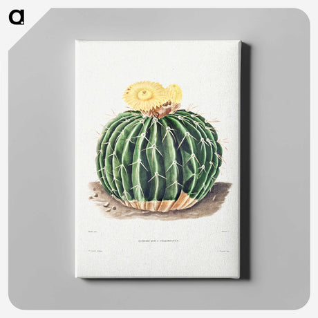 1-6_Charles-Antoine-Lemaire_canvas